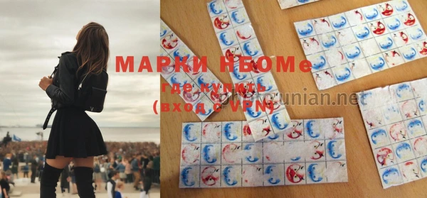 прущий лед Богданович