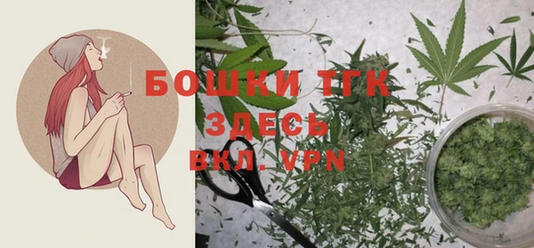 прущий лед Богданович