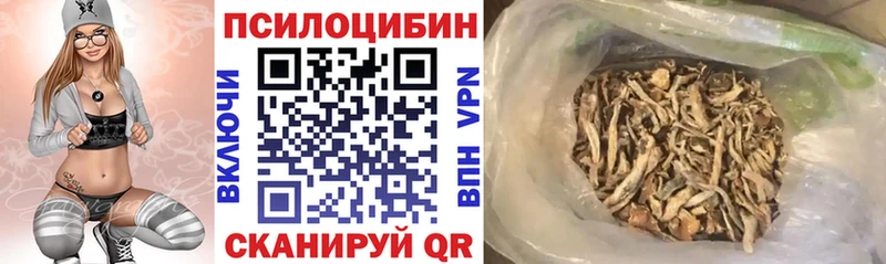 Псилоцибиновые грибы MAGIC MUSHROOMS  где купить наркоту  Красный Кут 